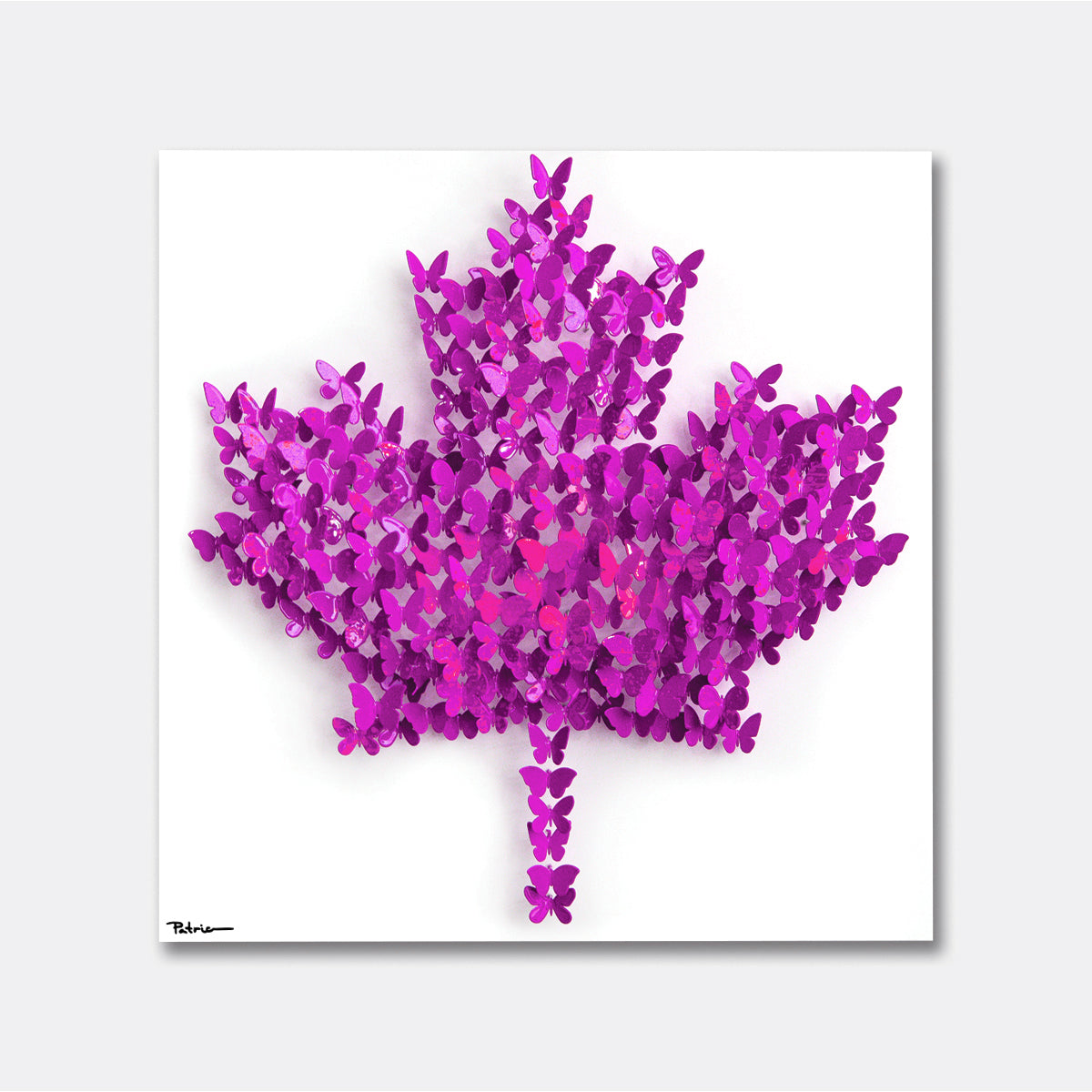 Maple Metamorphosis