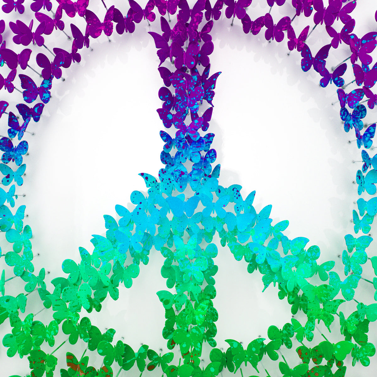 Wings of Peace