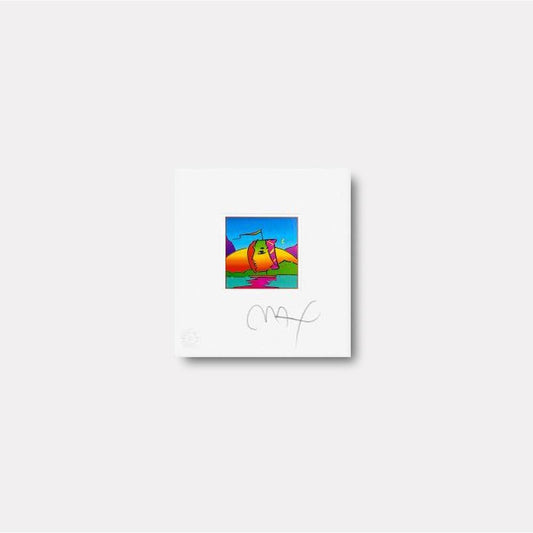Sail Profile - Gol Art