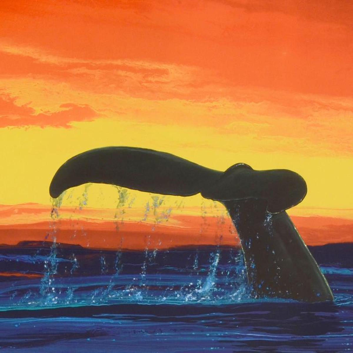 Sounding Seas - Gol Art