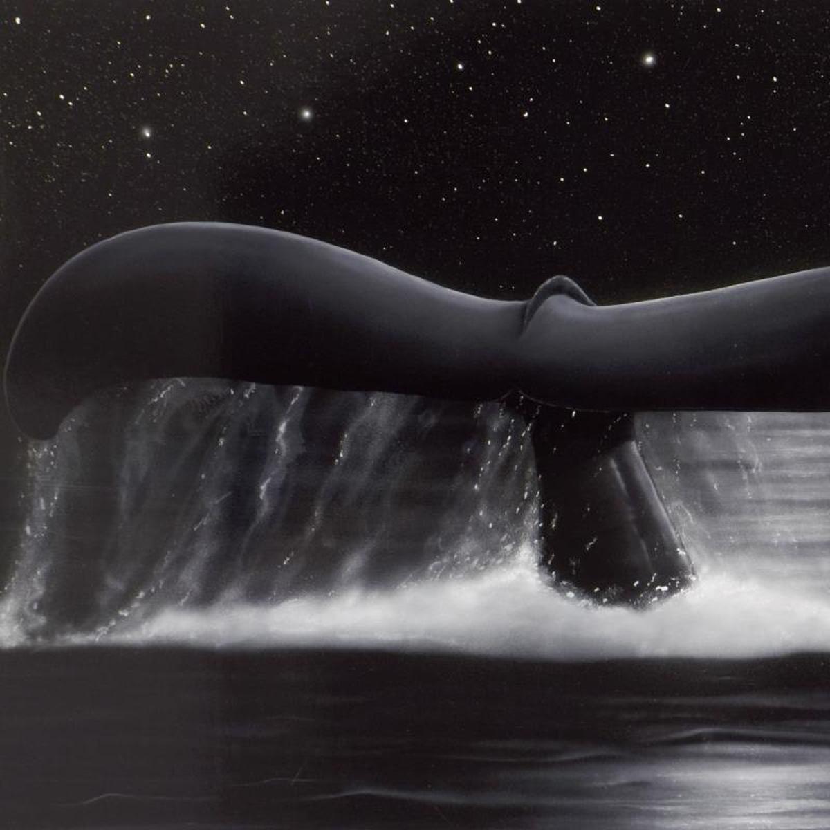 Sea of Stars - Gol Art