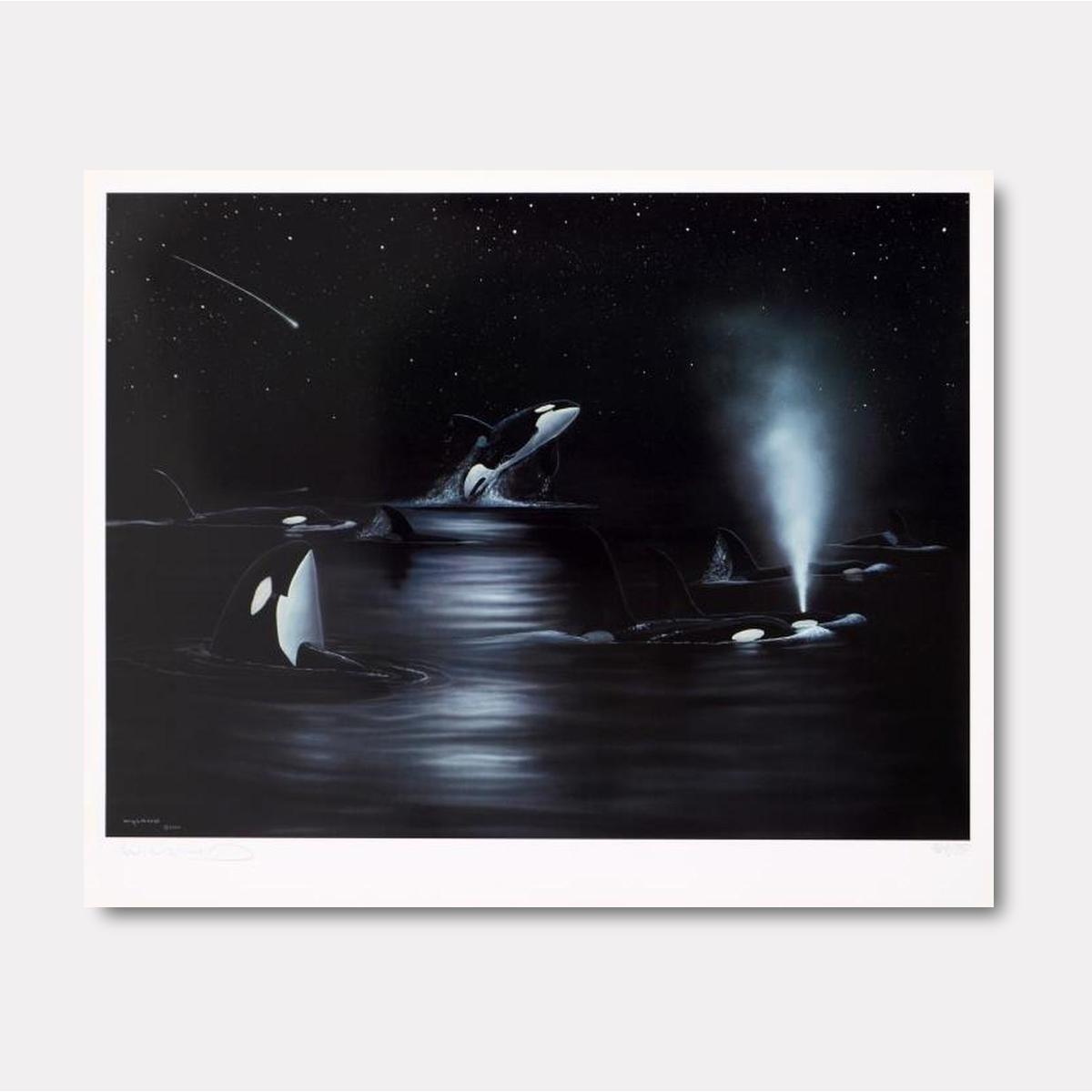 Orca Starry Night - Gol Art