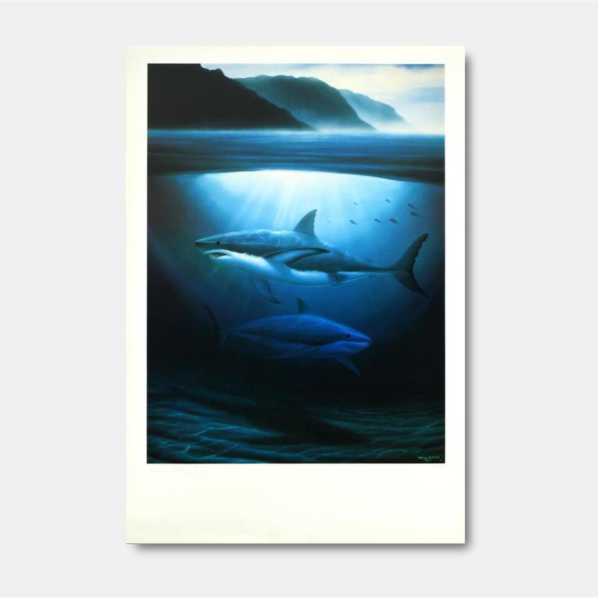 Great White Sharks - Gol Art