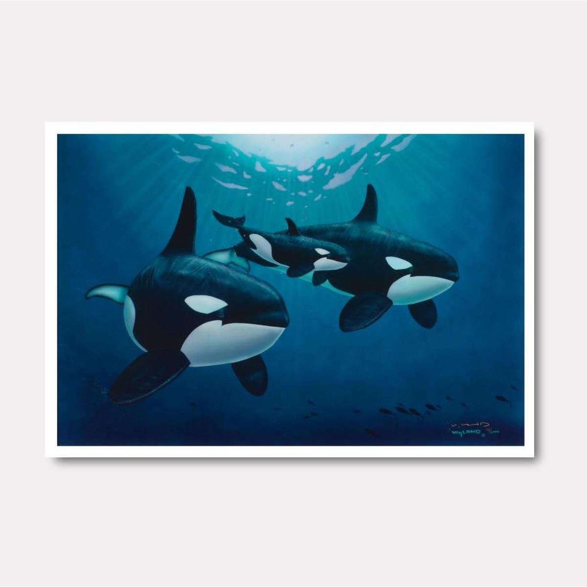 Orca Calling - Gol Art