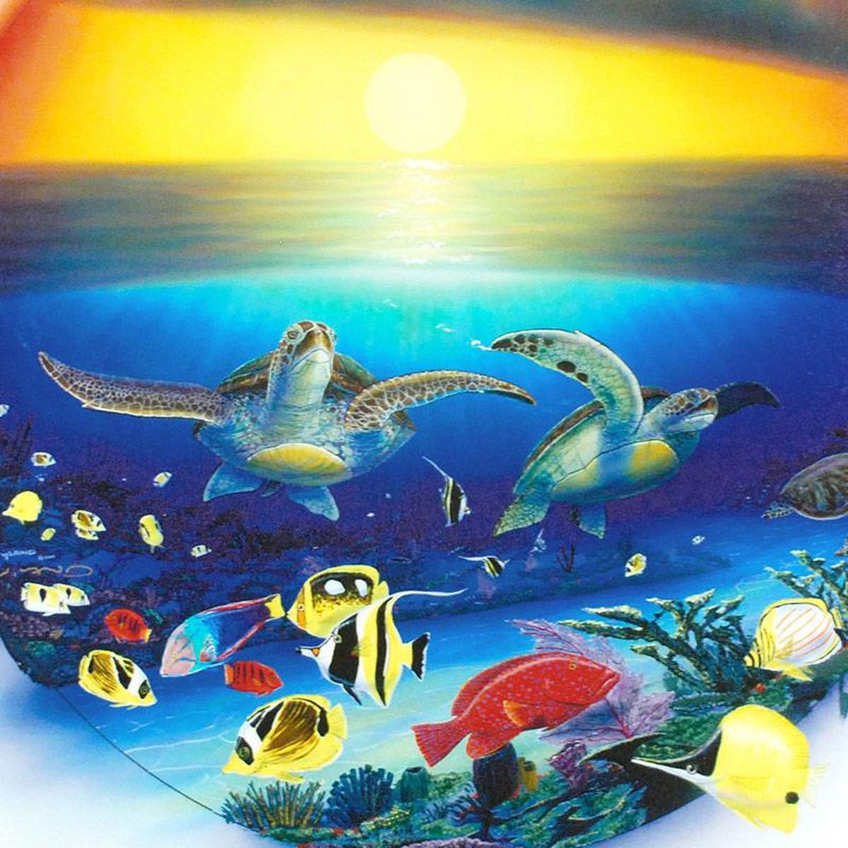 Sea Turtle Reef - Gol Art
