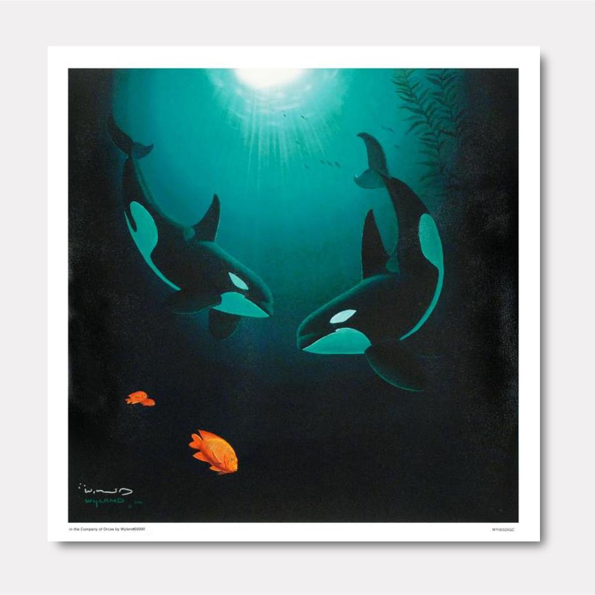 In the Company of Orcas - Gol Art