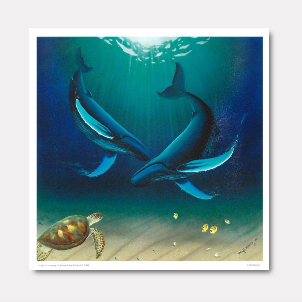 In the Company of Whales - Gol Art