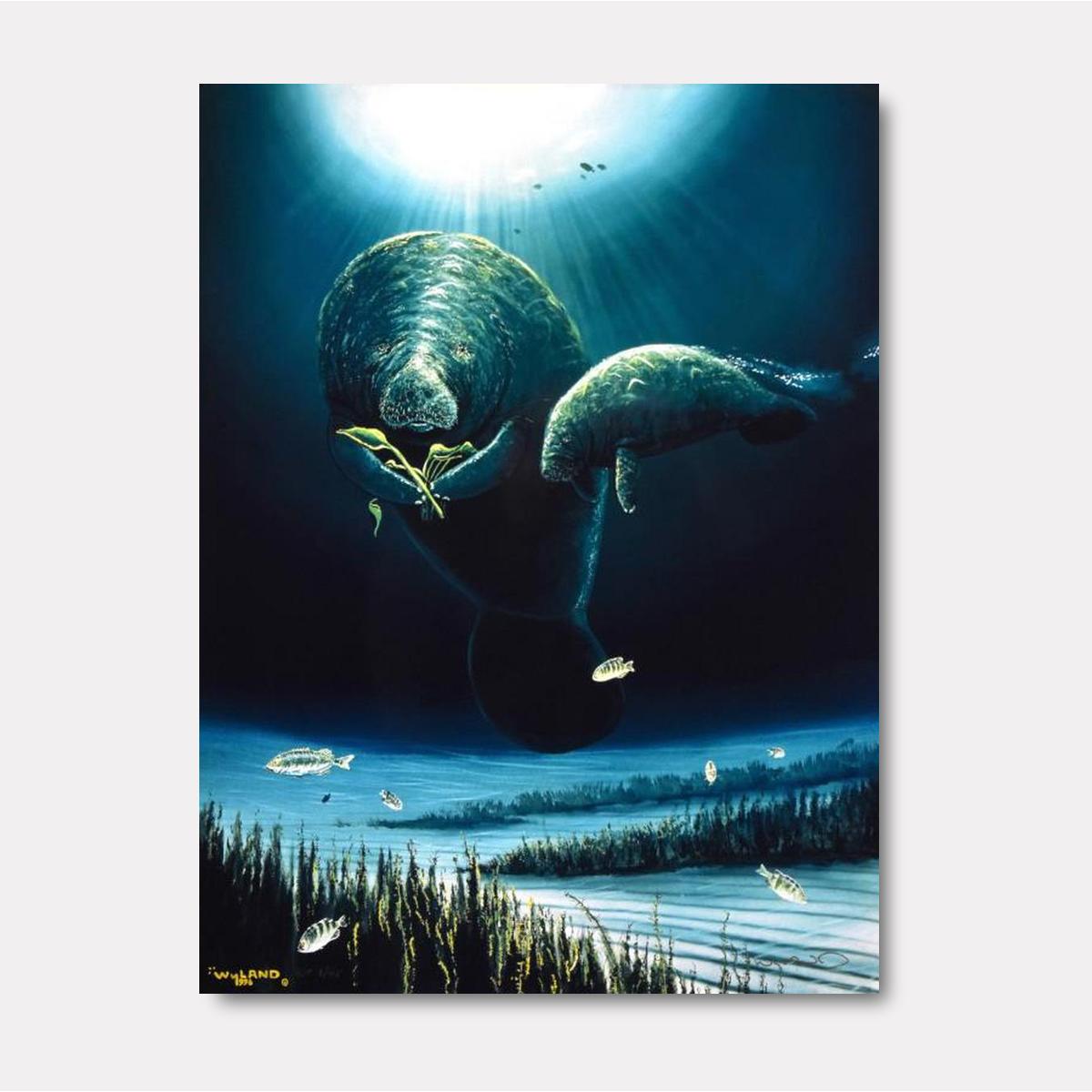 Save the Manatees - Gol Art