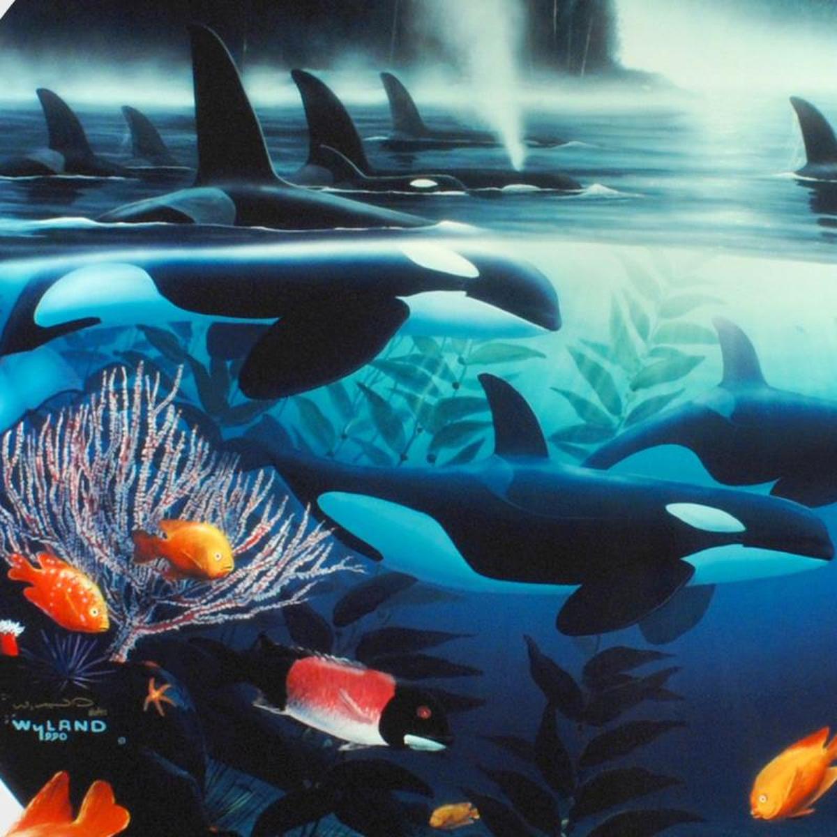 Orca Journey - Gol Art