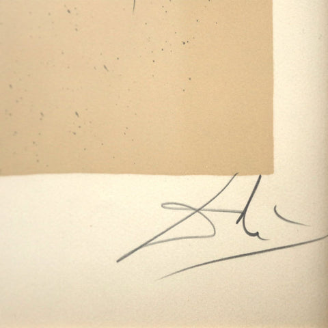 Salvador Dali - "The Price- Bereavement" - 3