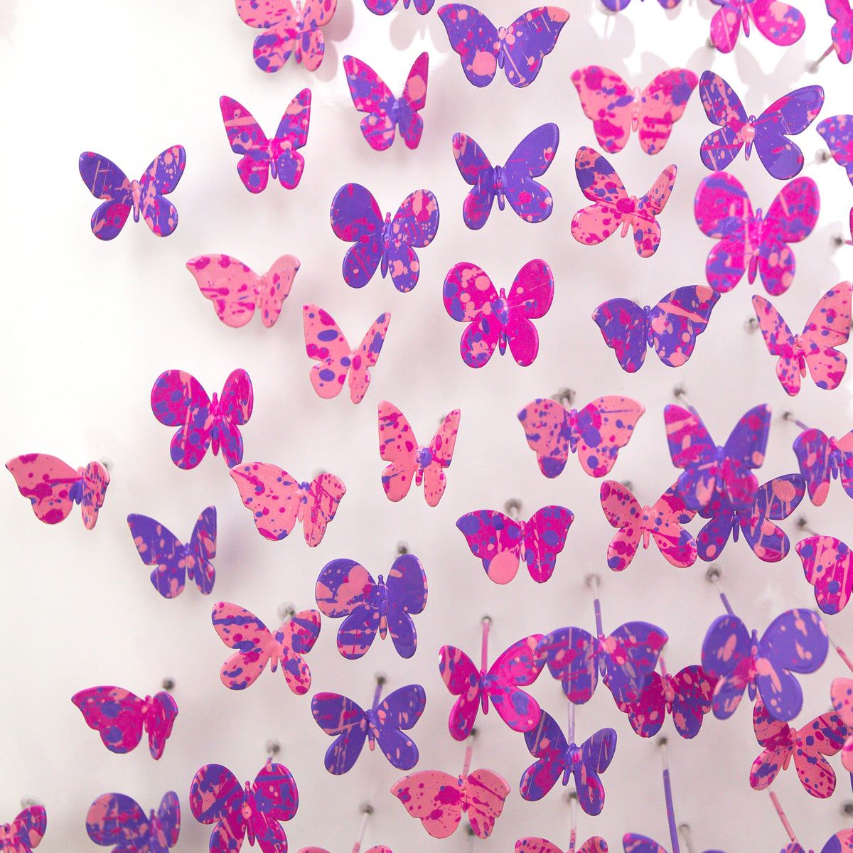 Two Souls, One Heart