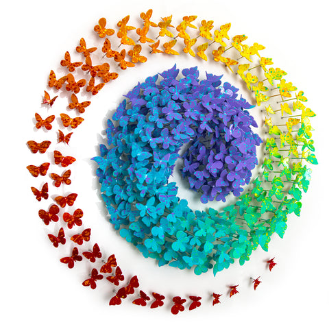 Circle of Life