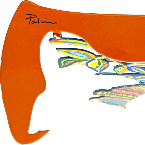 Rainbow Bird