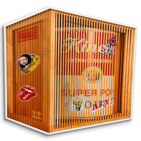 Campbell Soup Can in a Box