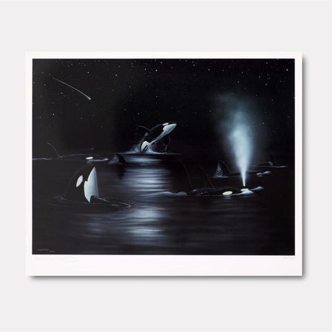 Orca Starry Night - Gol Art