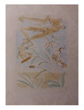 Salvador Dali- Original engravings with color "The oak and the reed"