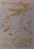 Salvador Dali- Original engravings with color "The oak and the reed"